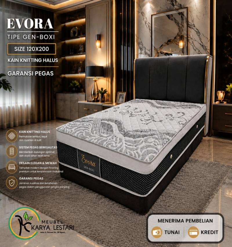 BOXI GEN EVORA 120X200